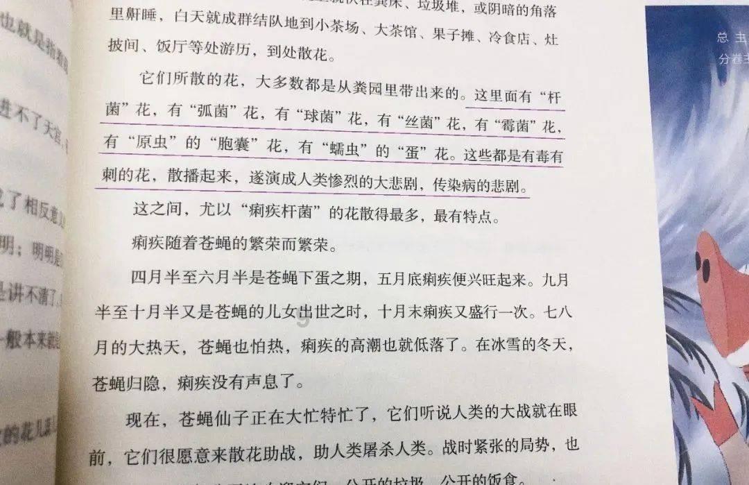 植物大战僵尸15